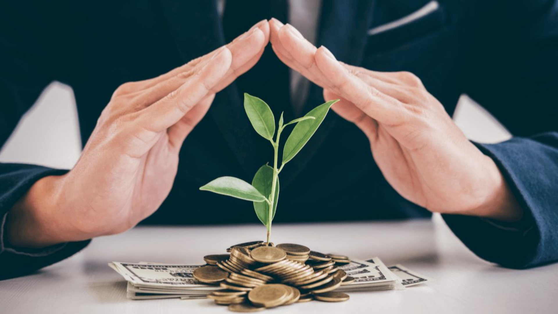 Cara Investasi untuk Pemula